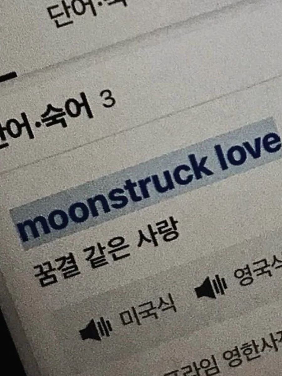 모든 우주에서 널 사랑해 대표 이미지