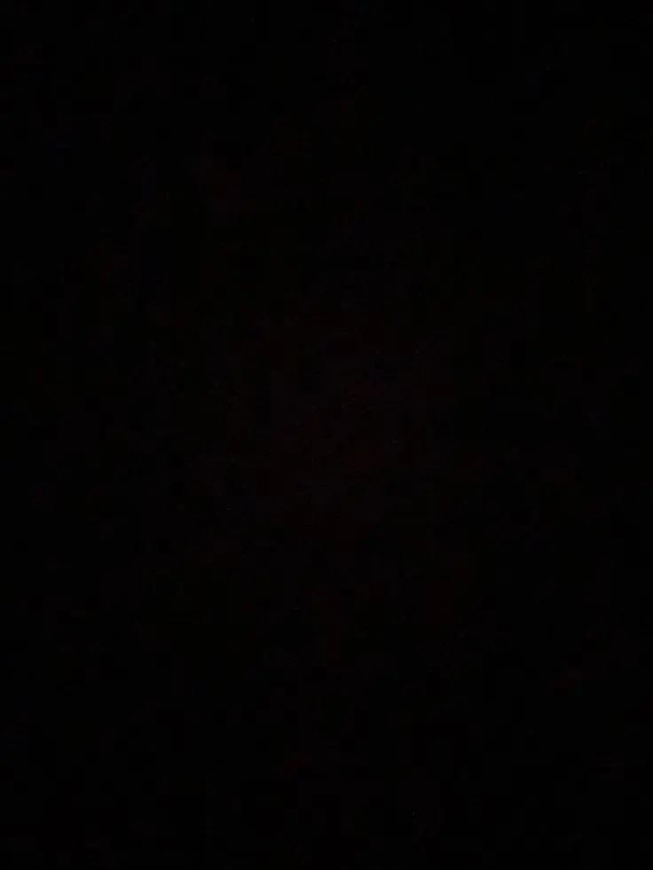 xvunux의 L