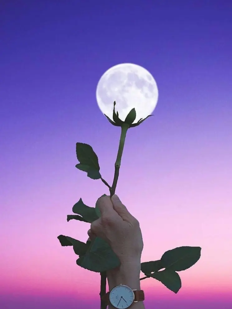 m_0312의 내일의 밤하늘 초계반 - 평학