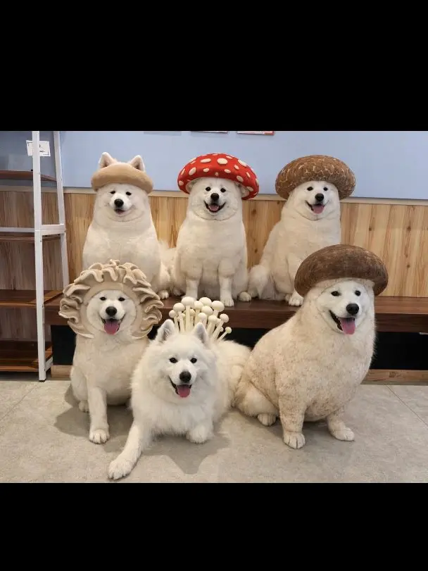 BriskGate3183의 個人用