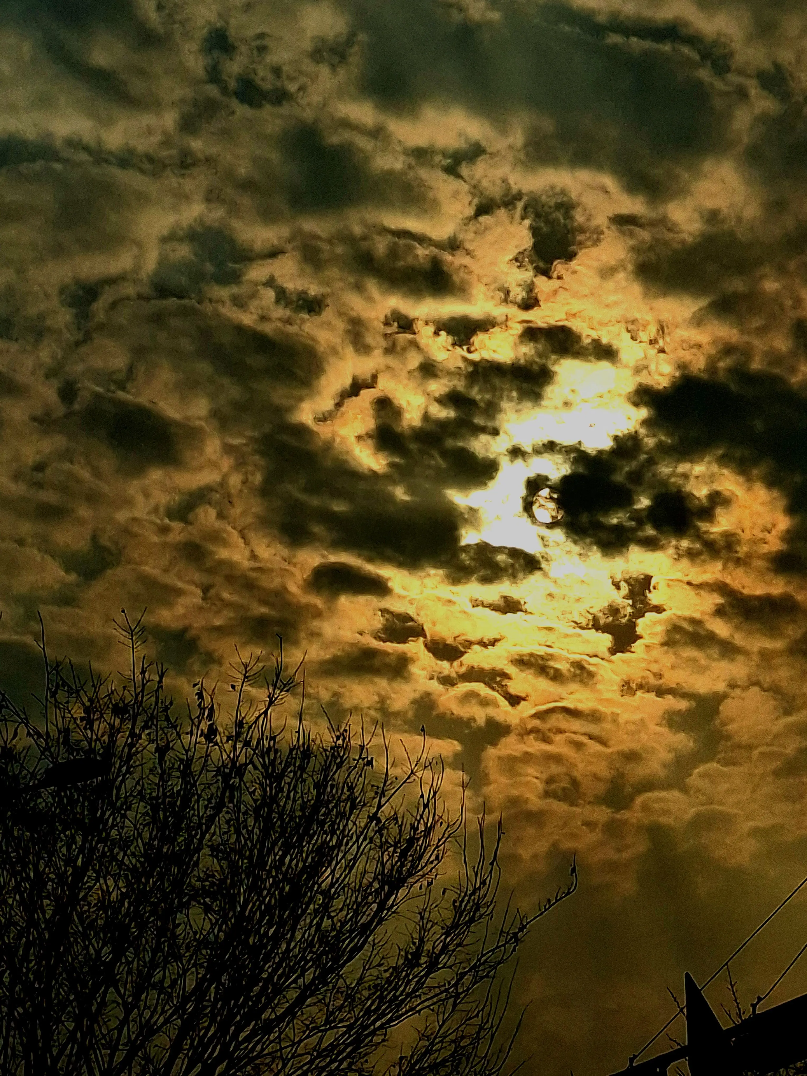 pqowieuryt.love의 FORBIDDEN FRUIT