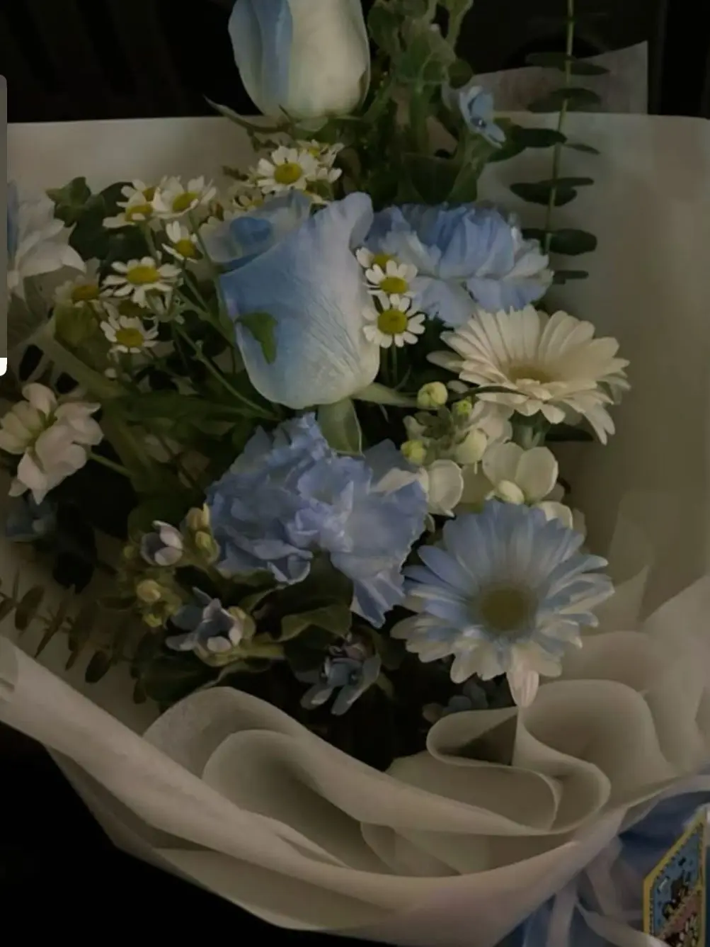 3938의 영원은 거짓이였다