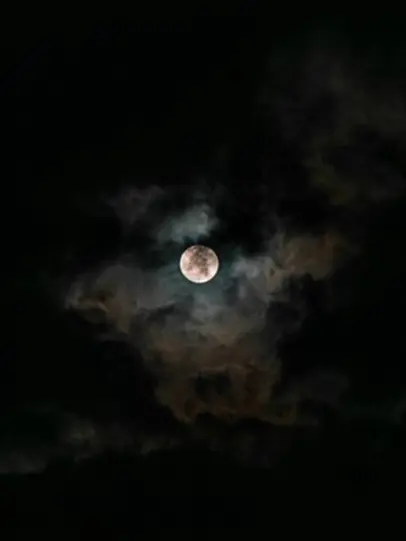 Luminus의 언니, 내 인생은 왜 항상 이래?