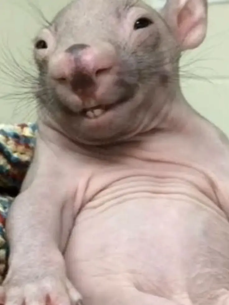 CloseAnt7312의 남사친이 씻는걸 모르고 들어가 버렸다