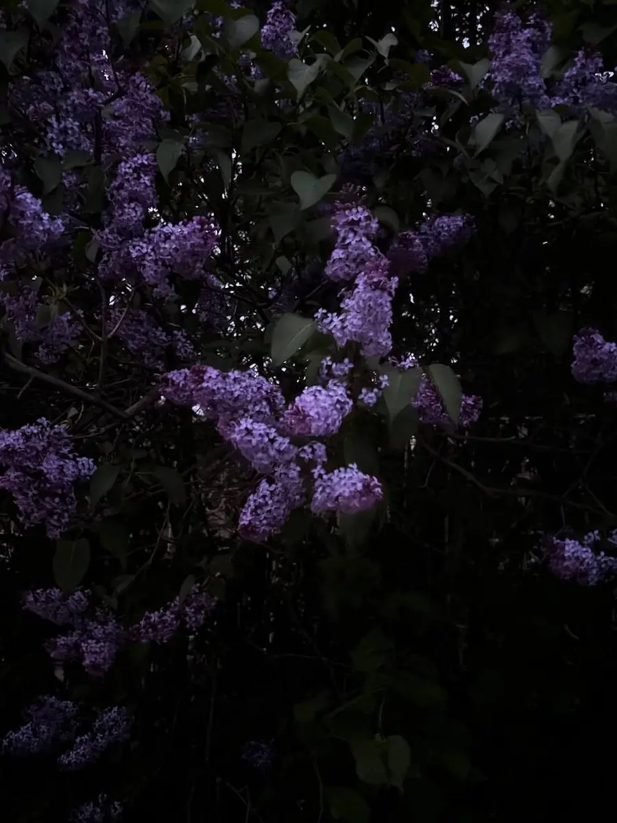 jdjsiwkwkwj의 내 기억 속의 너는 사라졌는데.