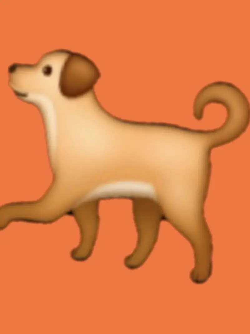 AgileChunk6109의 잠든...🐕?