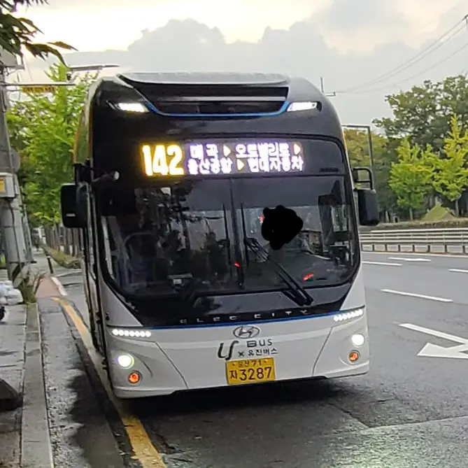 GrassyLadle3772의 비스트고등학교(타장 있음)