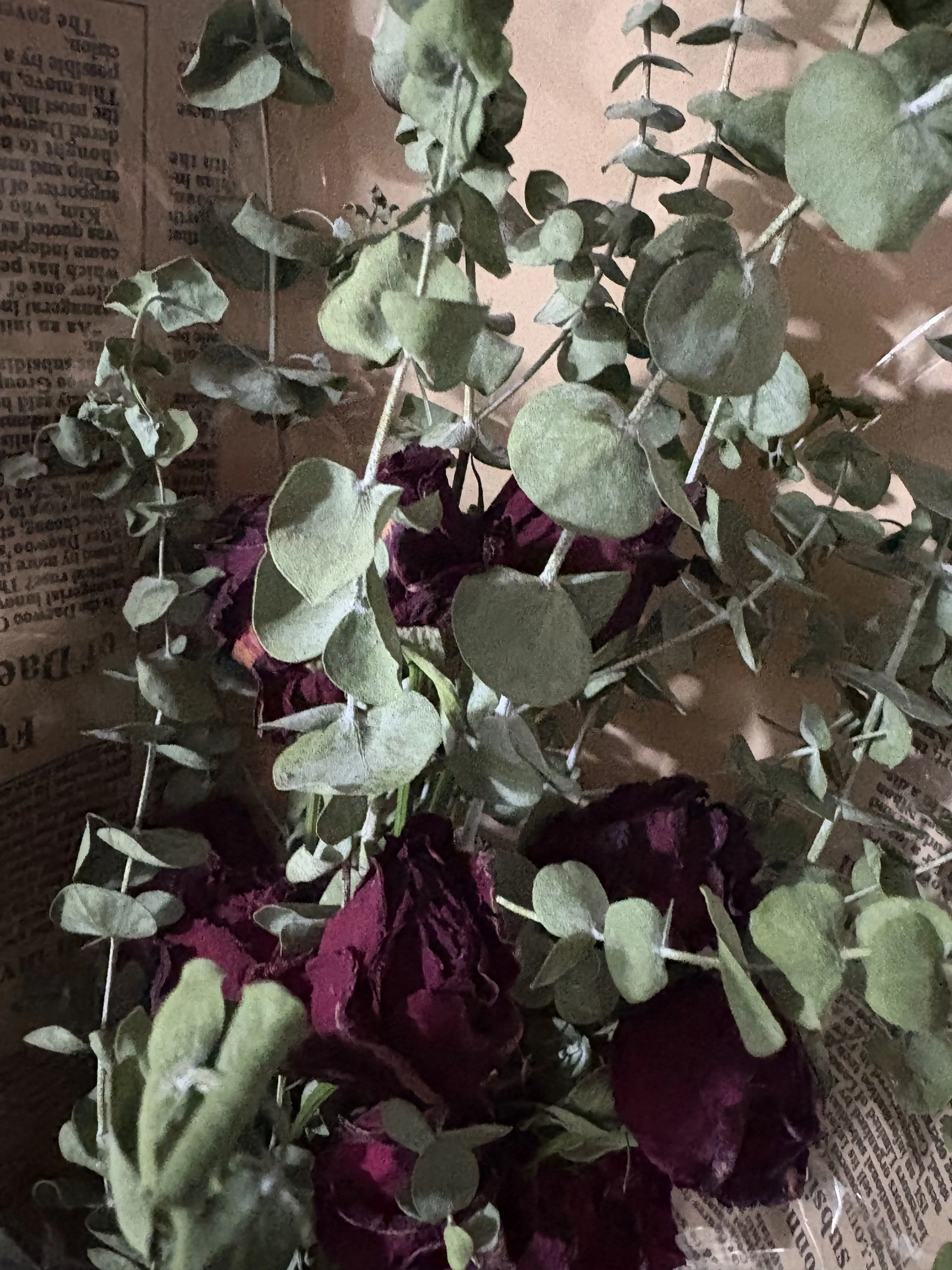 I_hate_English의 한태양