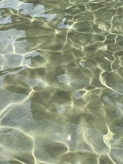 F1nNvv0lFhArd의 Wingman…🙄