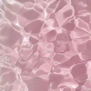 RashStoat8355의 여우에게 복수해보자!