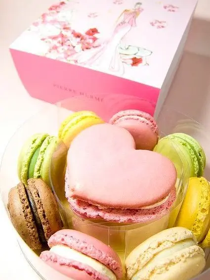 RashStoat8355의 여우에게 복수해보자!