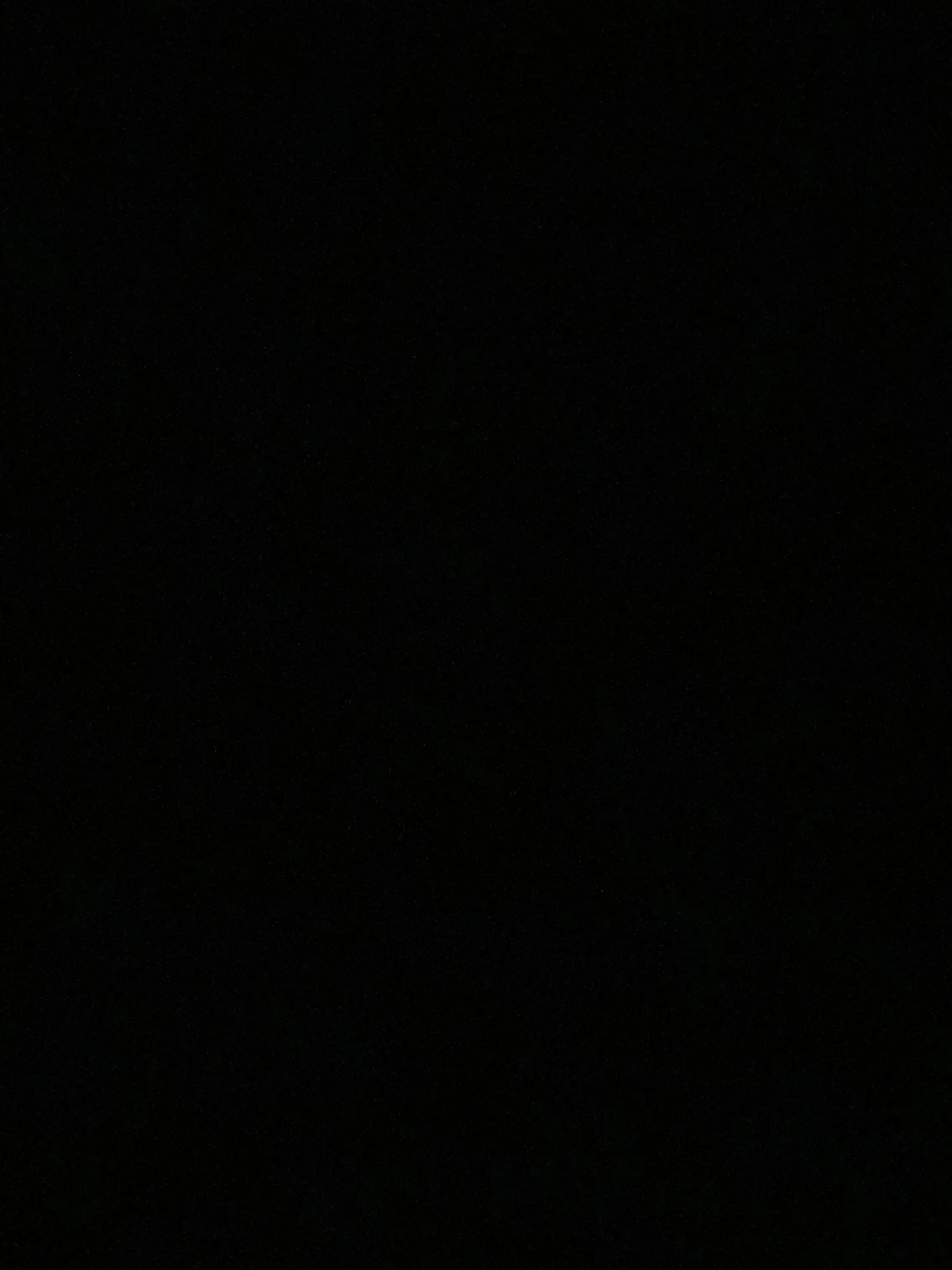 Rara324625의 精神病院