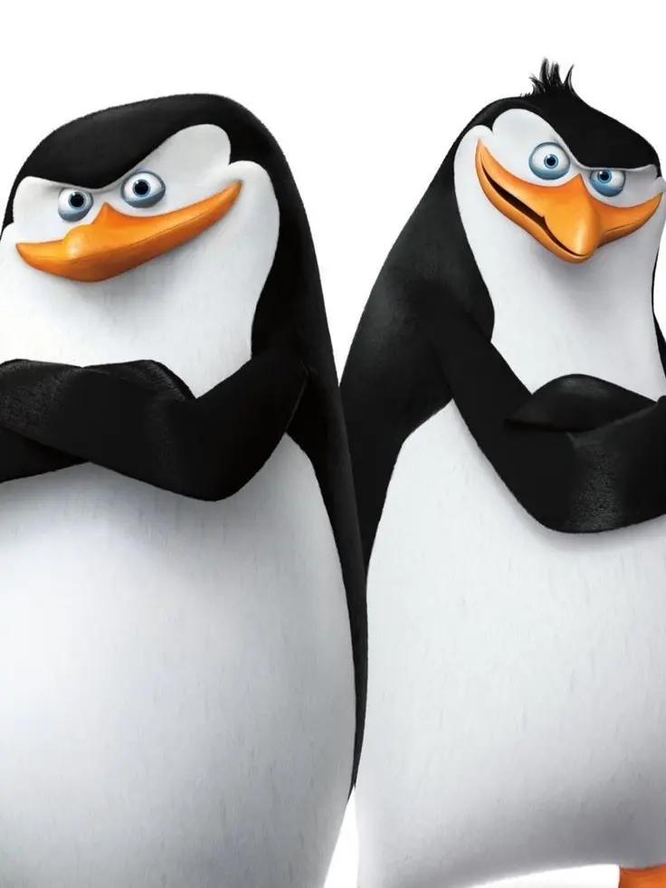 Yakko_take100의 Skipper x Rico