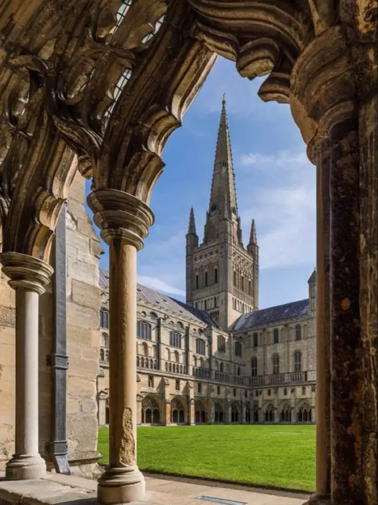 ItchyAsp5456의 카미고 마법학교(인데 여우)