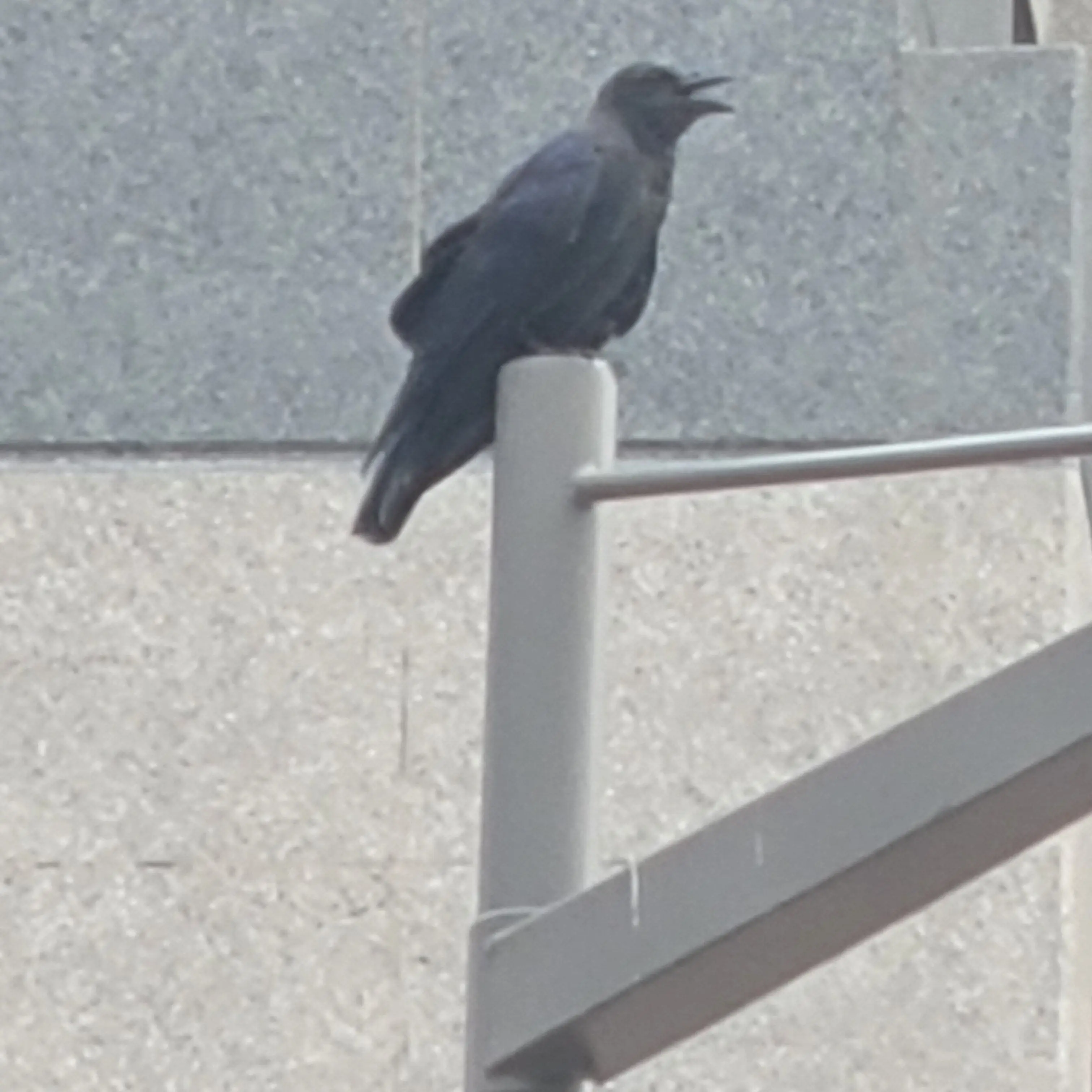 VagueDrone5486의 광고와 싸우기