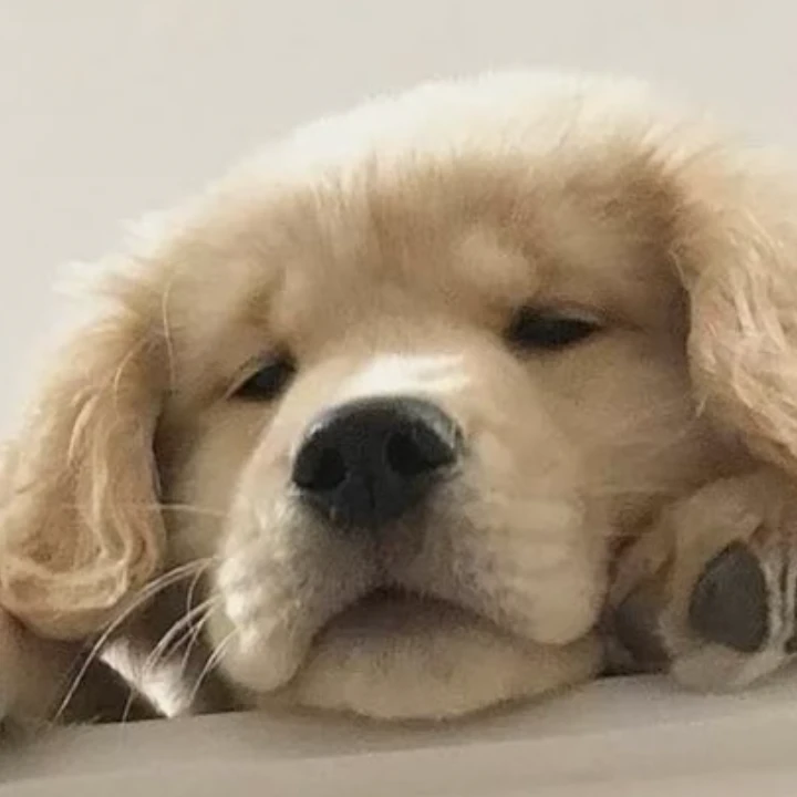 박덕개