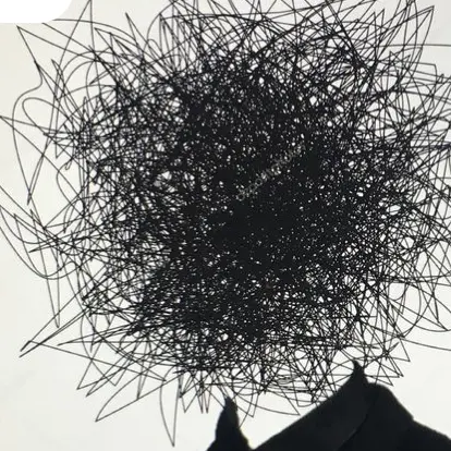 PluckyComb9415의 죽음의 비극