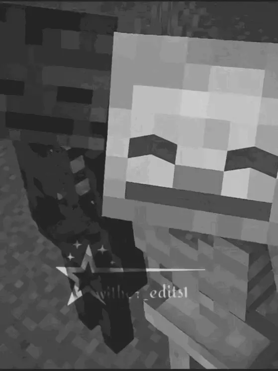 SlimKiang5994의 위더 스켈레톤