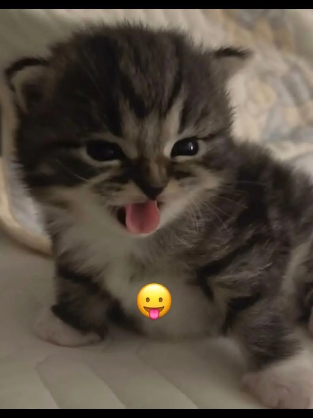 GlassJuicy9400의 What If We Stopped Being Careful?