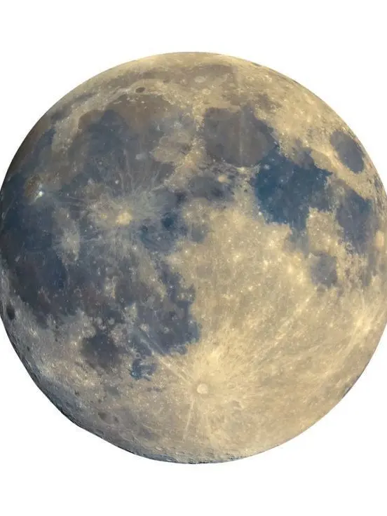 Nekosuke.neco의 忌み子