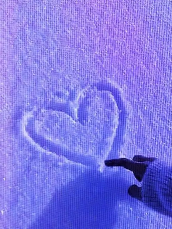 sinau의 あなた は ラウール です！！