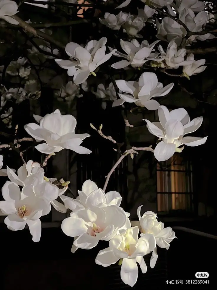 _ch.e3n의 함께 하길 바랬는데