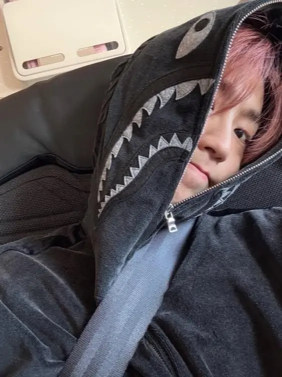 Cheeryyyy의 Dinosaurs ¤