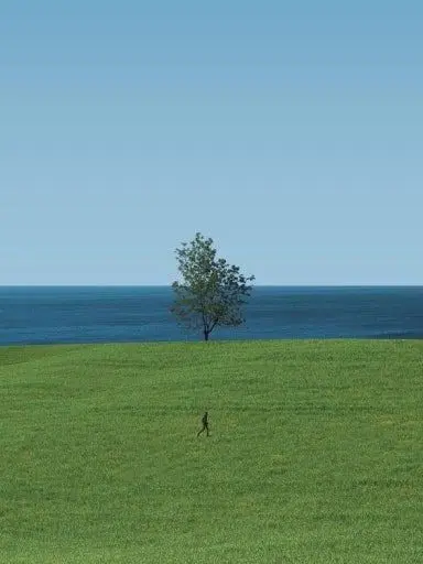 WhiteFlour3174의 박덕개