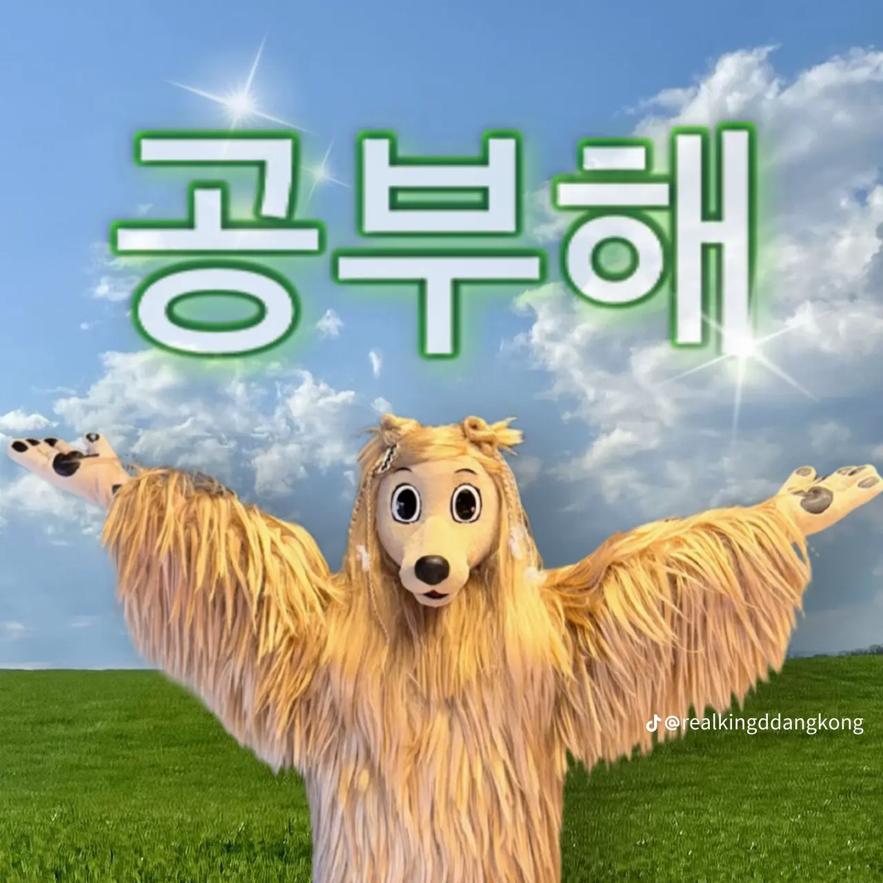 비스트&에이션트 학교의 선생님 대표 이미지