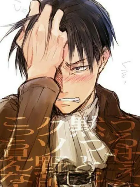 Starsss1의 Levi Ackerman