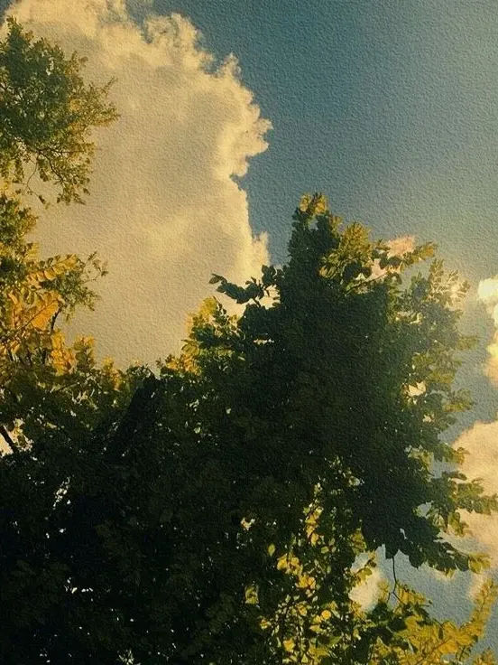 OldFrost2059의 外廓