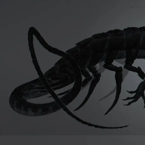 HurtShelf0989의 stalker(스토커)