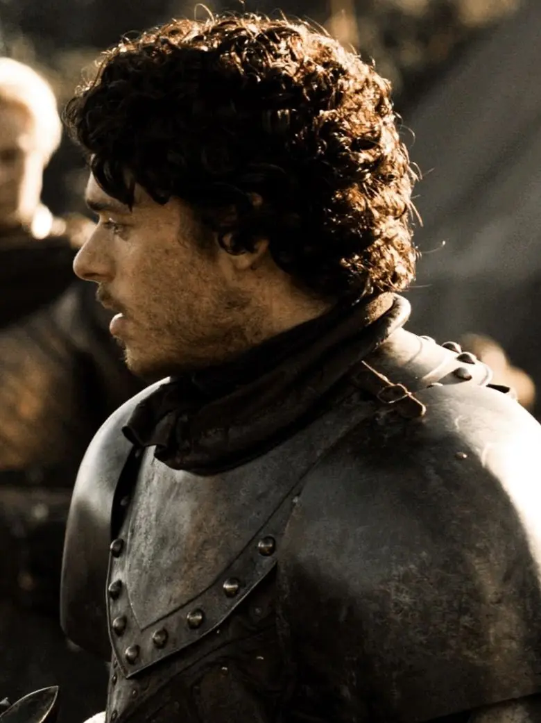RawEuro9127의 Robb Stark