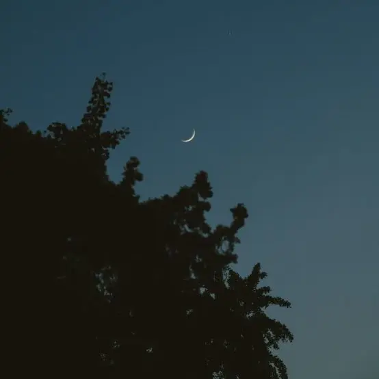 shinyu_1105의 우융