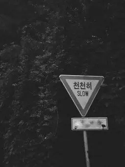 dreamed의 일진 커플.