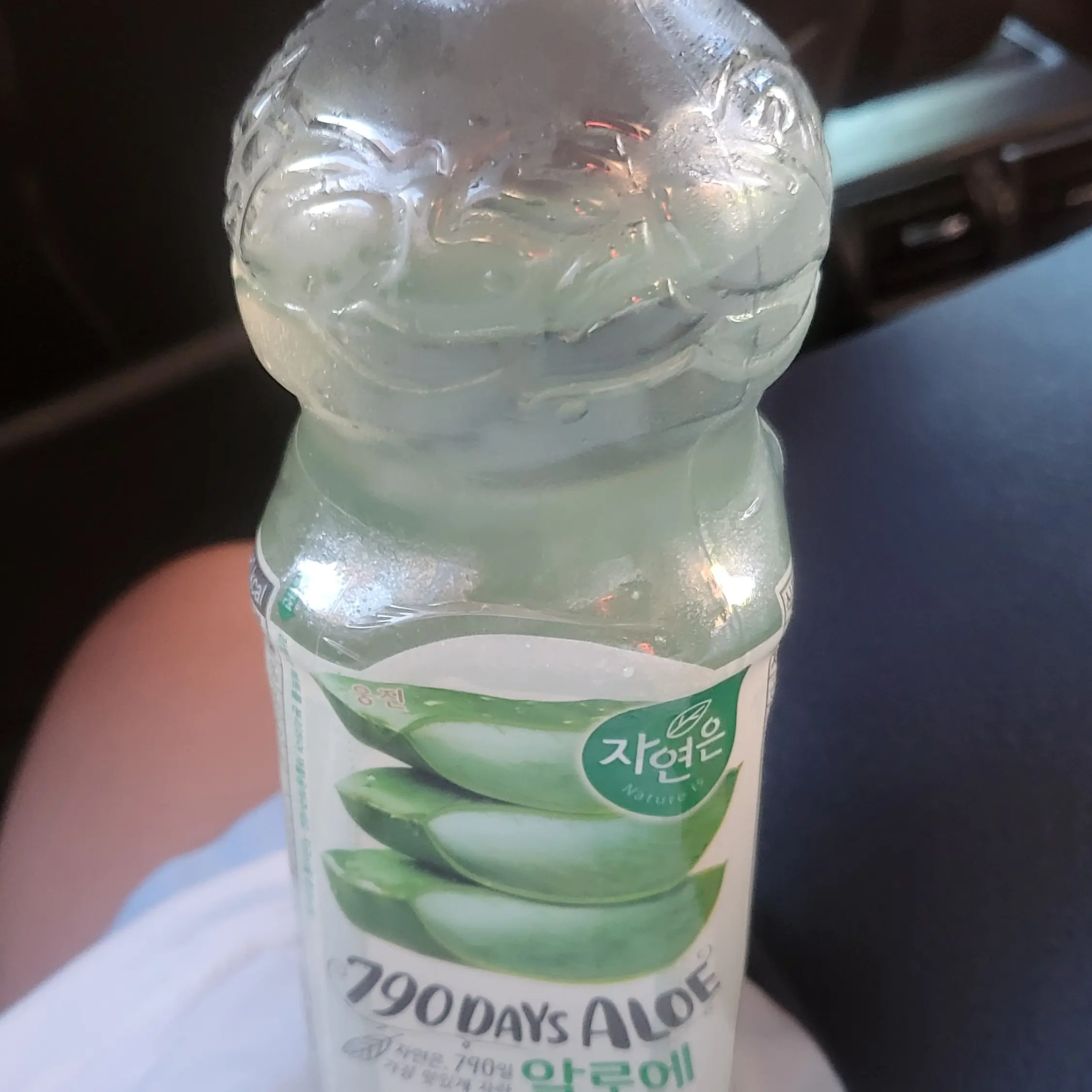 GreatKiang9031의 고양이 2마리 키우기