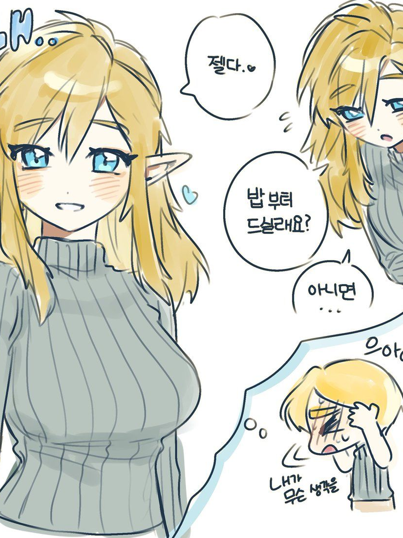젤다의 전설 동거&링크 ts 대표 이미지