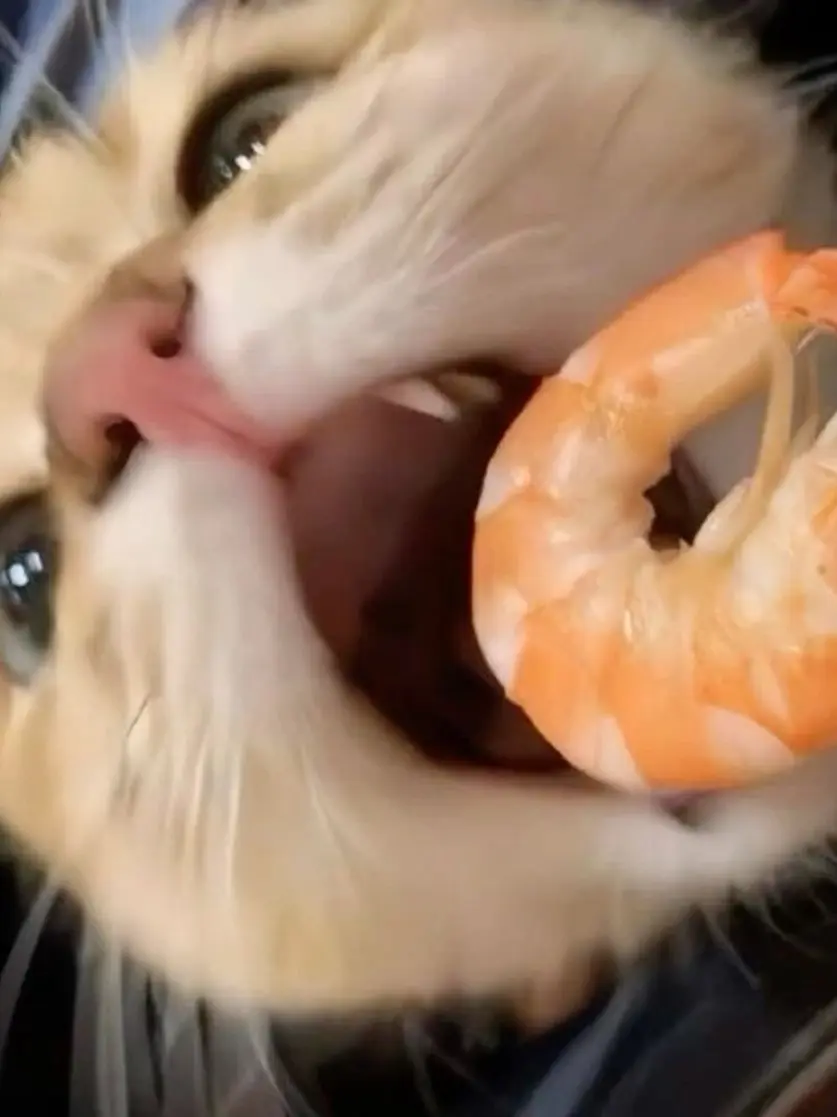 AgileTwine4157의 Detention Buddy