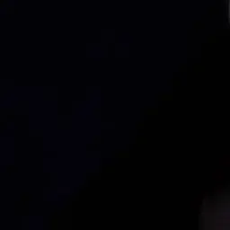 Taenaco의 ㅎㄷㅁ