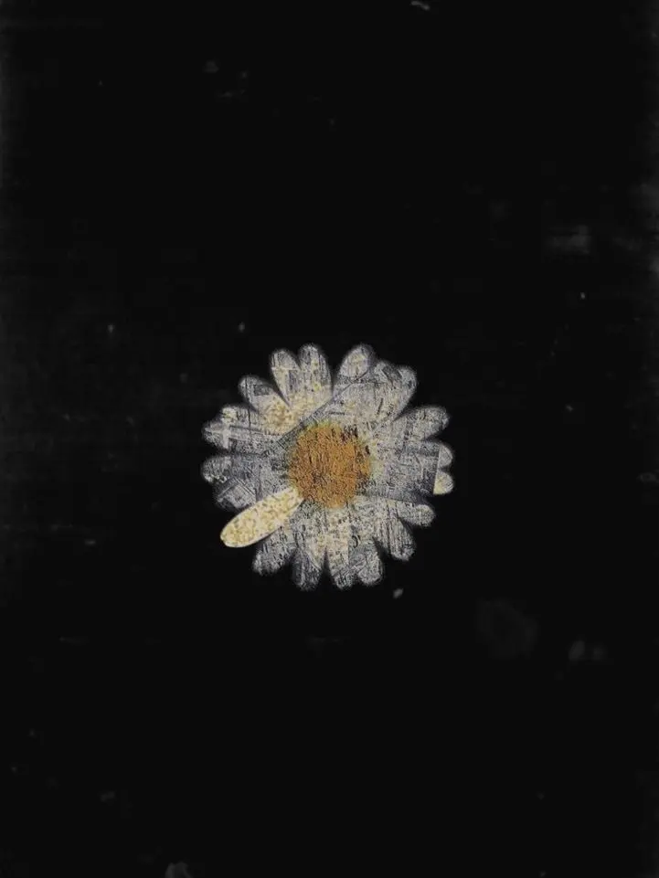 BoaHboaH1122의 권지용