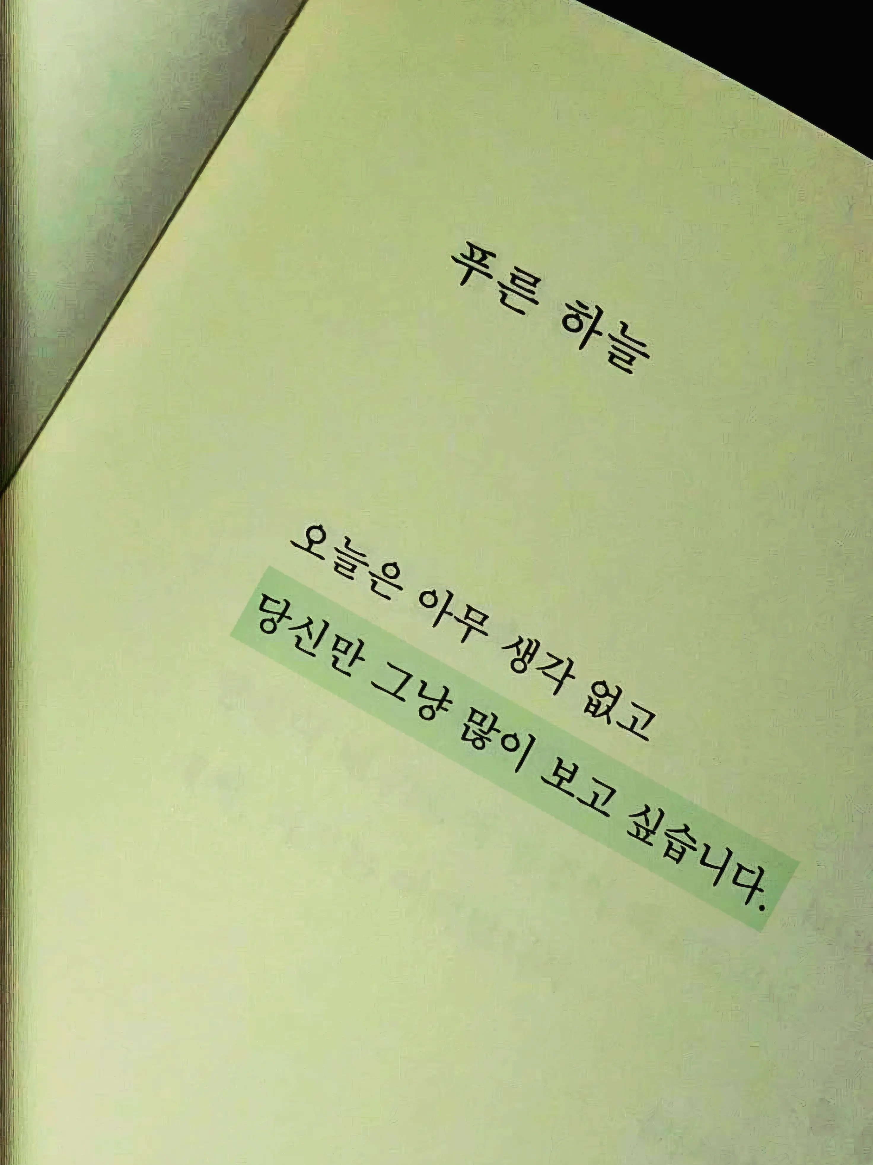LeanerTrunk4848의 🦖정형준