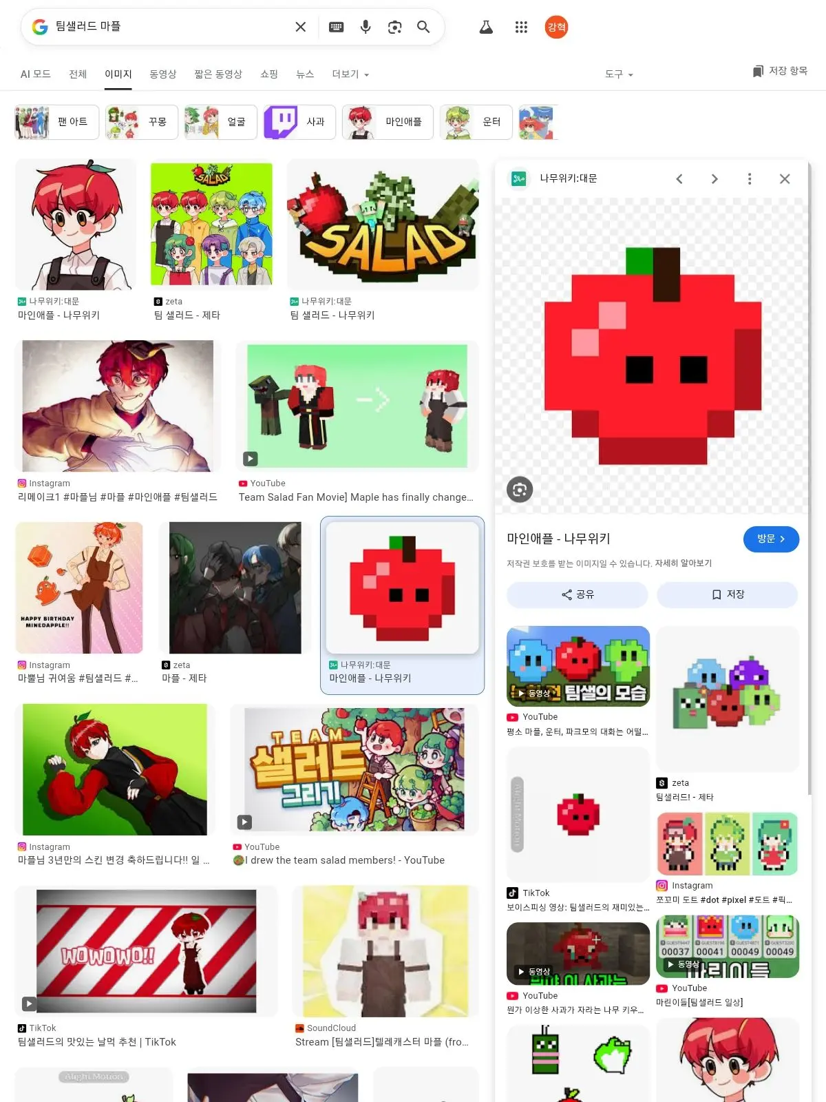 10110110011011001011000110의 픽셀리와 팀샐의 주술이 빙빙 돈당께요