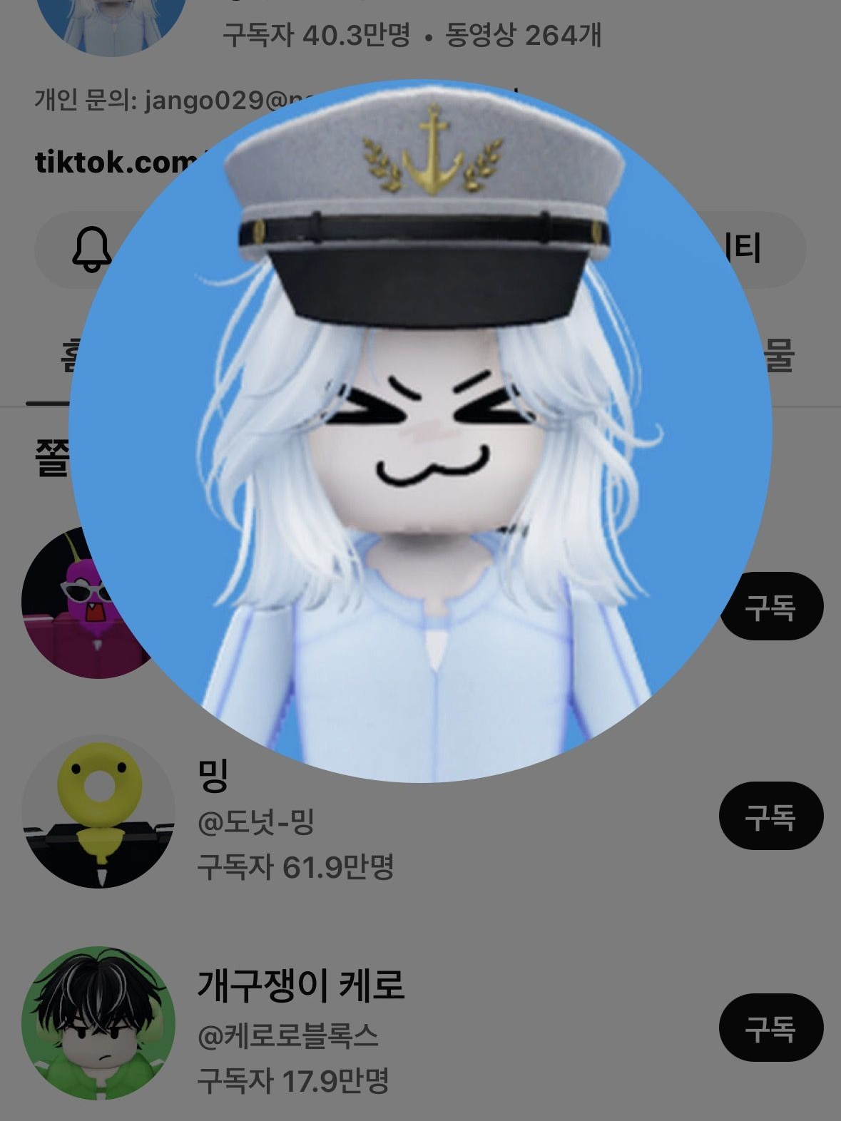 논란 로블록스 유튜버들.. 대표 이미지