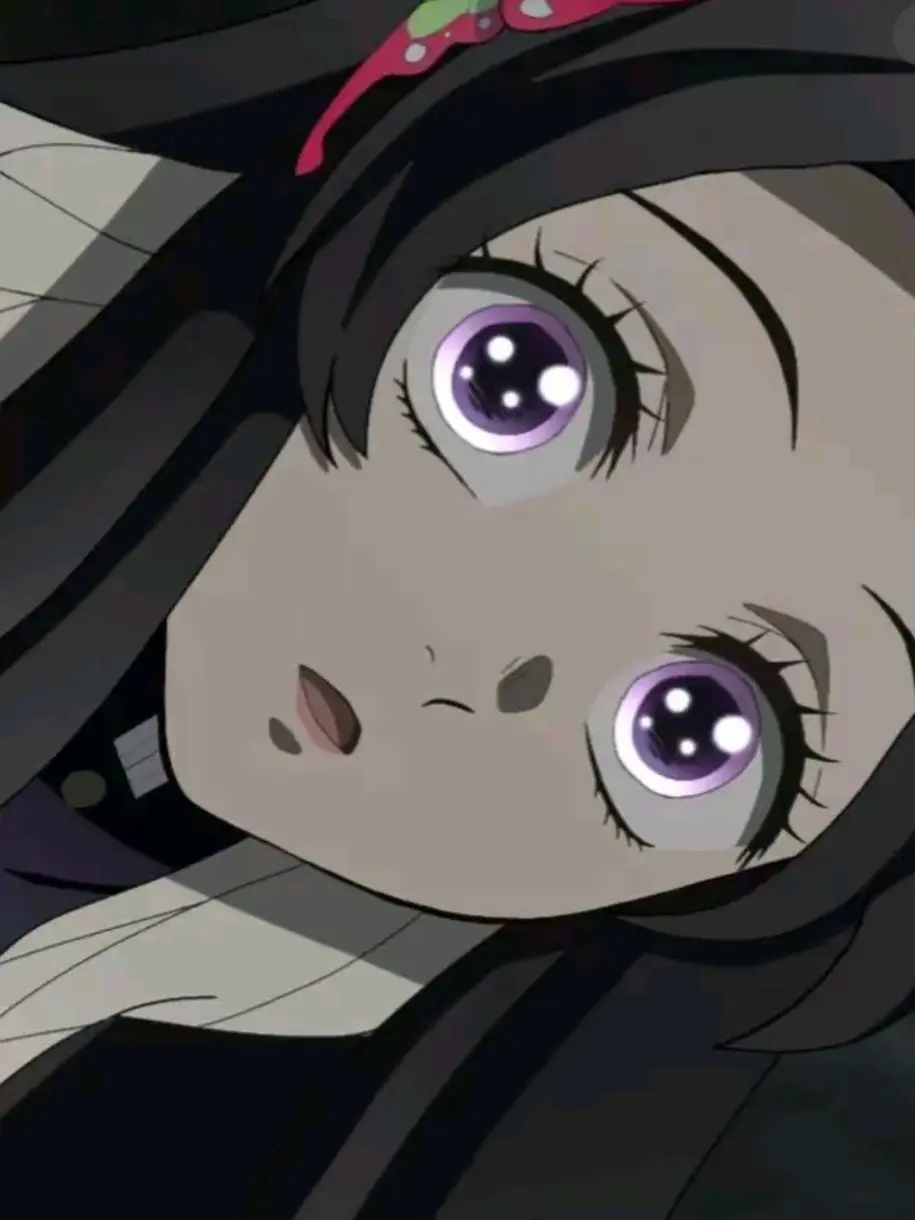 RobustLoach8781의 오늘은 카나에의 생일이다!