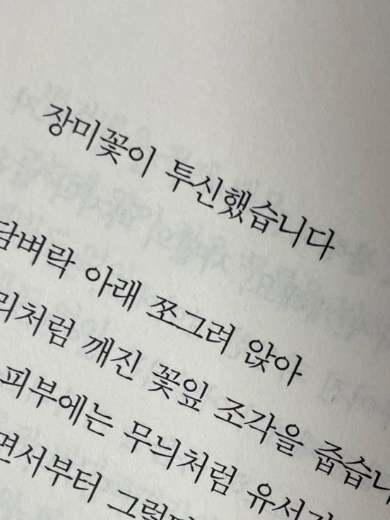🪶 / 관에서나비가날아오리라. 대표 이미지