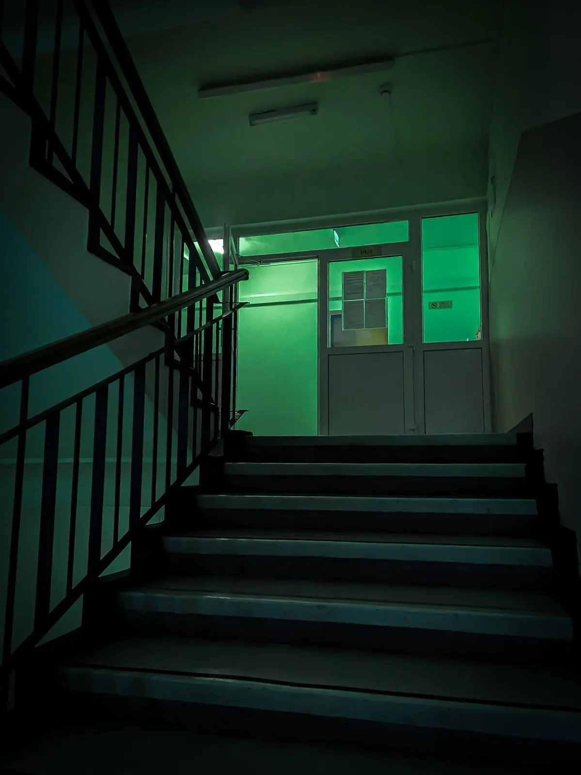 OOO_OOO_O의 研究報告番号:0005