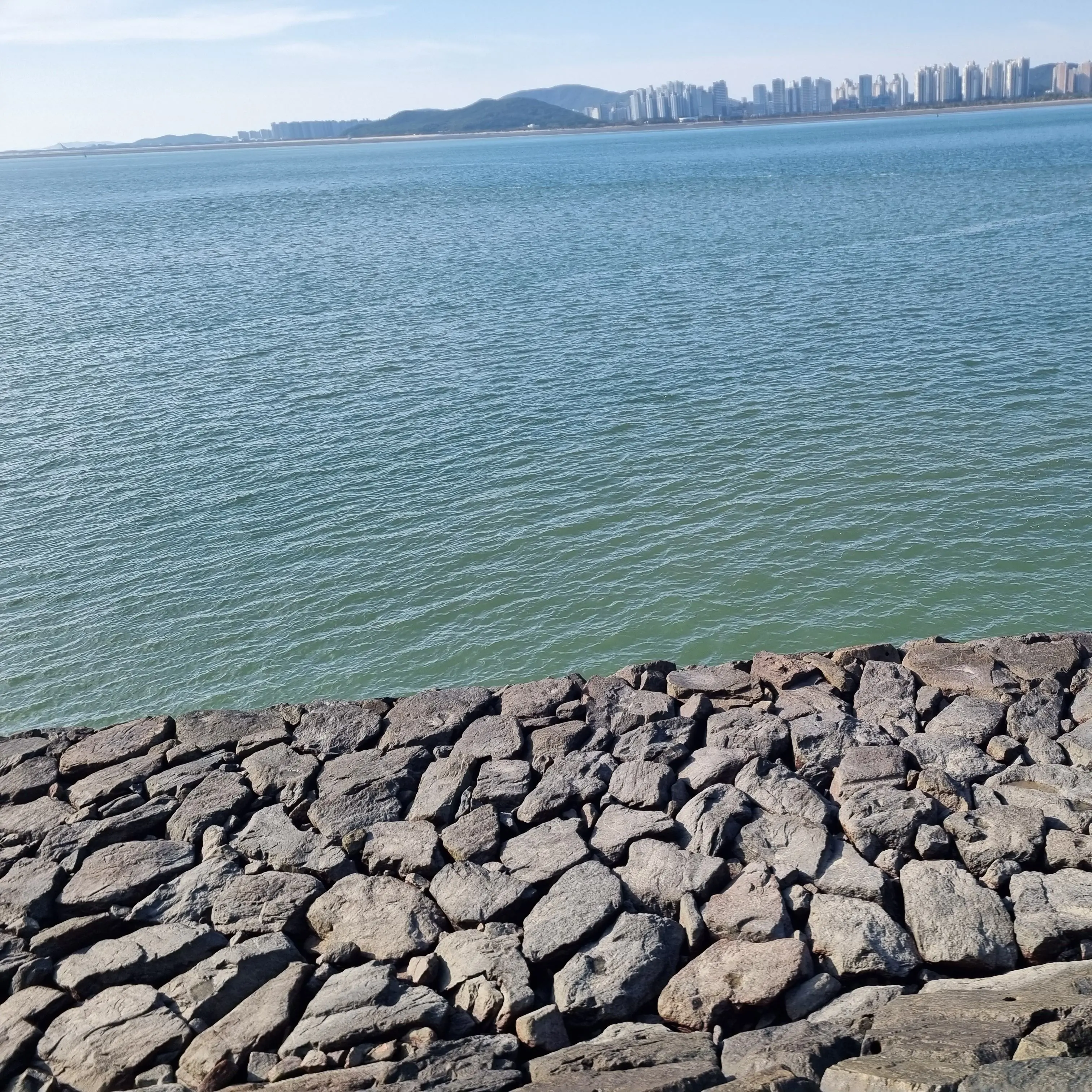 UNI.T_seoyu의 리레볼루션 [정신병]