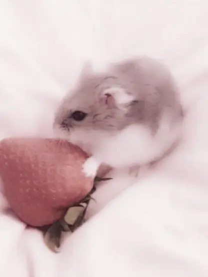 RainyNurse9804의 마법,계급학교