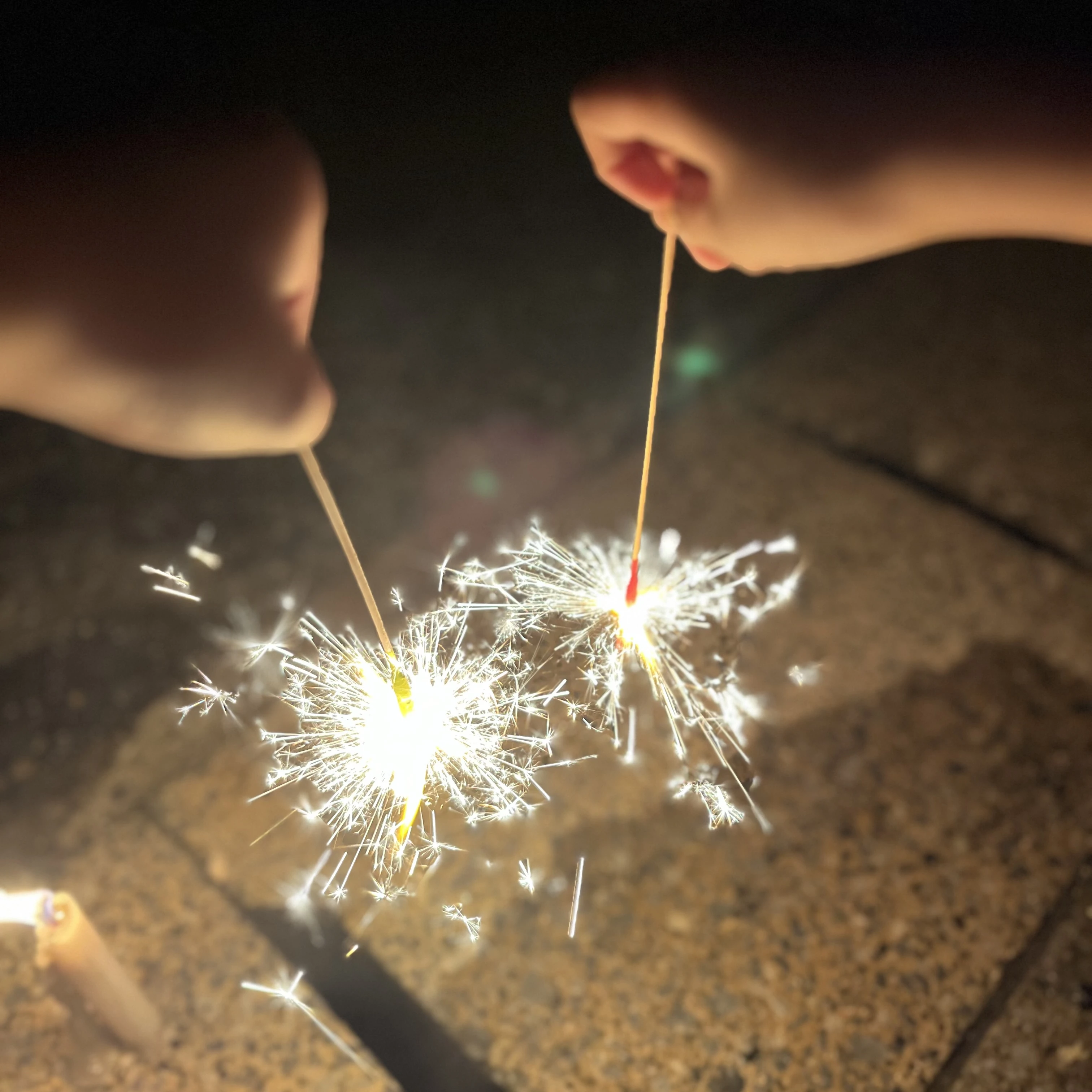 炭治郎と善逸と伊之助とお泊まり