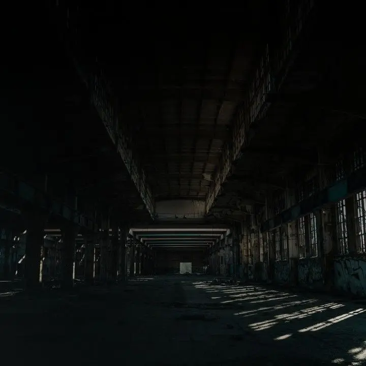 IiIi0.0의 어느 조직이 있다.